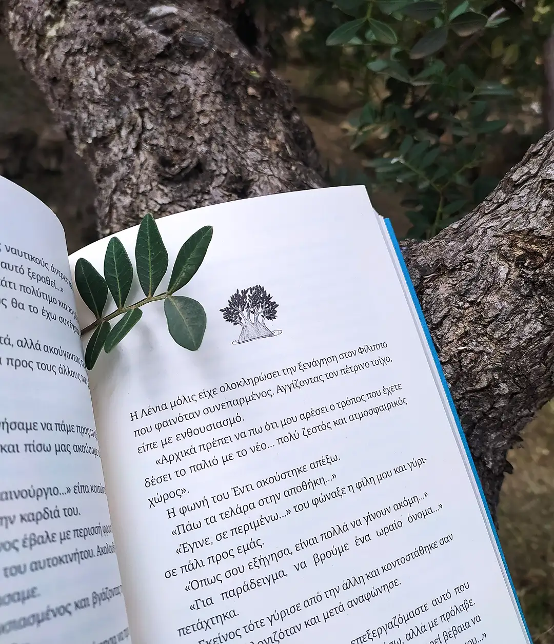 Book page 1