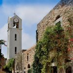 CNN Travel:The mysterious healing plant that only grows on Greece’s Chios island