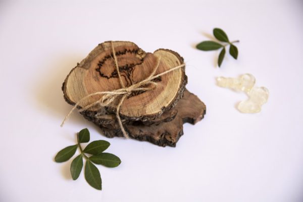 mastiha mastic chios esg gift tree adopt company nature
