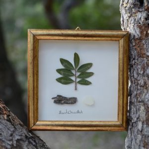Wooden frame with mastiha and leaves