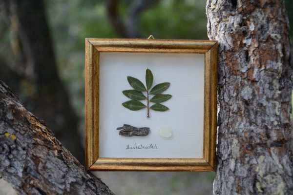 Wooden frame with mastiha and leaves