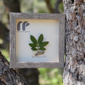 Mastiha, chios, b2b, gift, adoption, tree, corporate gifts, company, esg