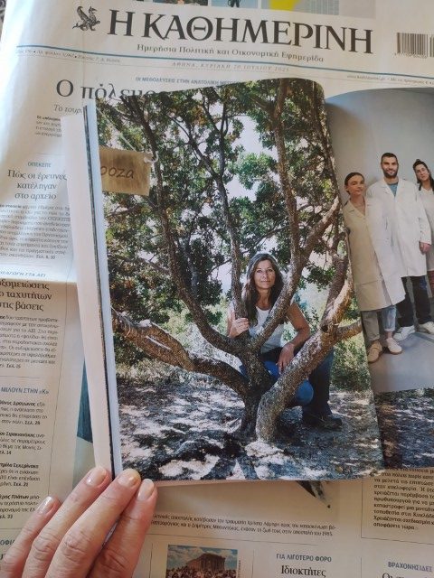 Mastiha Roots Featured in Kathimerini&rsquo;s Chios Special Edition
